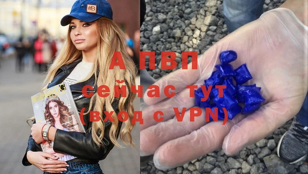тгк Абинск