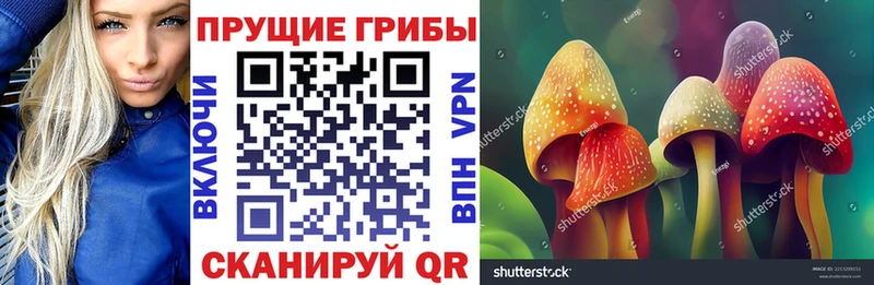 гидра сайт  Мегион  Псилоцибиновые грибы MAGIC MUSHROOMS  купить  сайты 